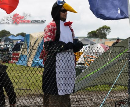 2016 Phillip Island MotoGP - Saturday. Bike Review