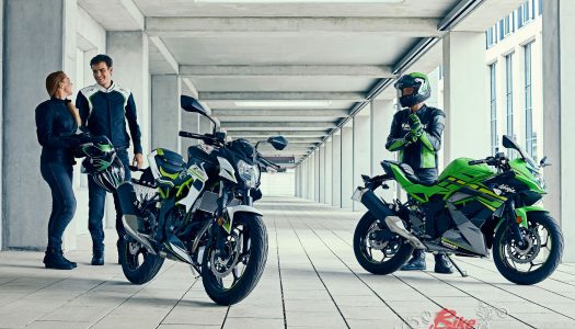 New Model: 2019 Kawasaki Z125 & Ninja 125