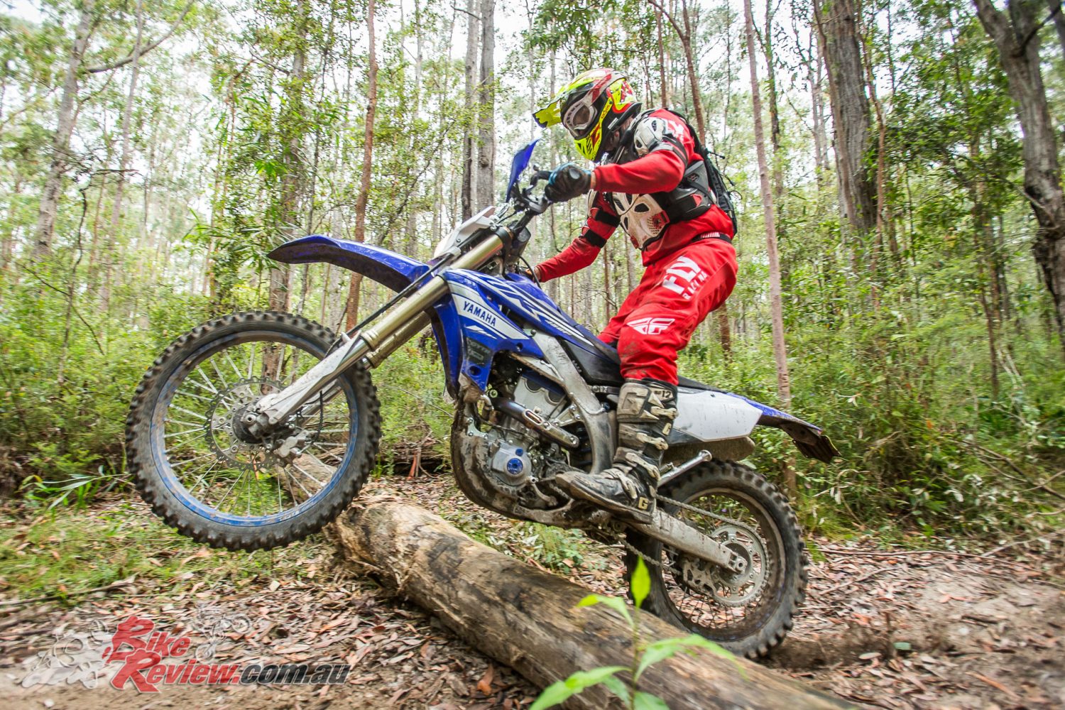 2019 Yamaha WR450F