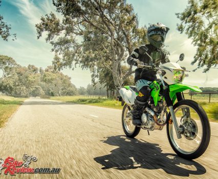 2019 Kawasaki KLX230 action
