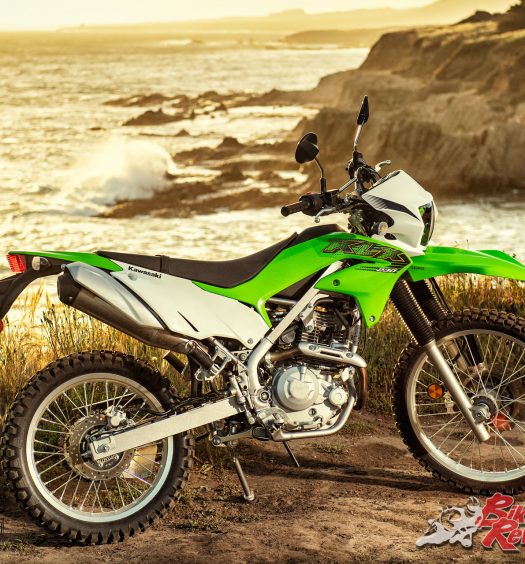 2019 Kawasaki KLX230