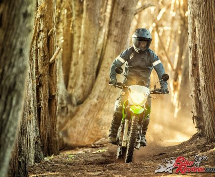 2019 Kawasaki KLX230 action