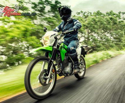 2019 Kawasaki KLX230 action