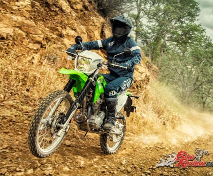 2019 Kawasaki KLX230 action