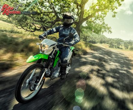 2019 Kawasaki KLX230 action
