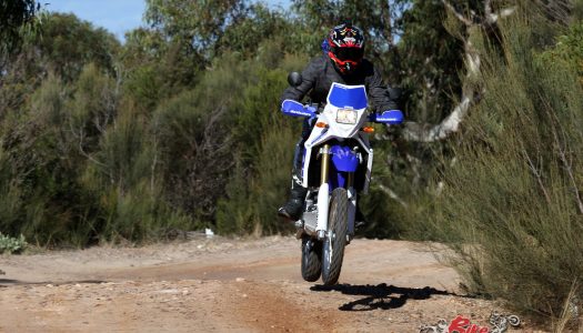 Long Term: 2019 Yamaha WR250R – Tenere Replica