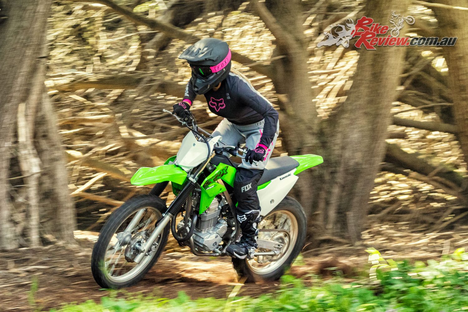 2020 Kawasaki KLX230R
