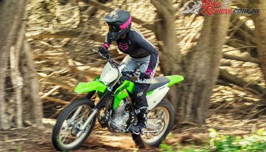 New Model: 2020 Kawasaki KLX230R