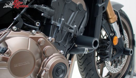 New Product: Oggy Knobbs for Honda’s 2019 CB650R