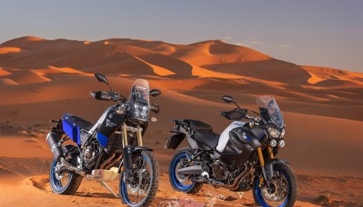 Compared: Yamaha Tenere 700 & 1200. Big or Small?