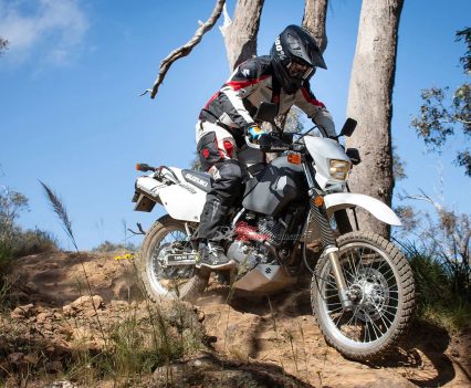 Great for trail riding or road touring.