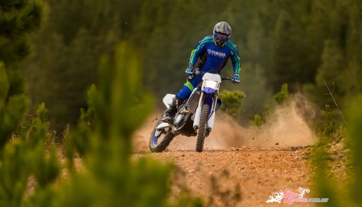 Review: 2020 Yamaha WR250F, enduro beast