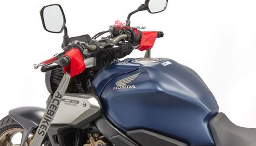 New Product: Ace Bikes Buckle-up Tie Downs