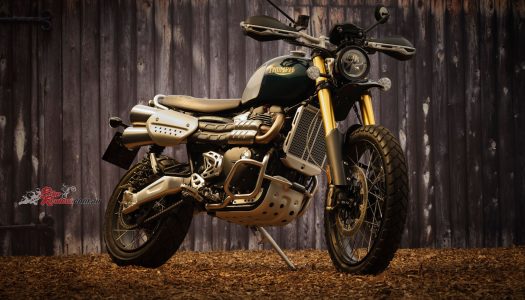 Model Update: 2021 Triumph Scrambler 1200 XC, XE and Steve McQueen Editions
