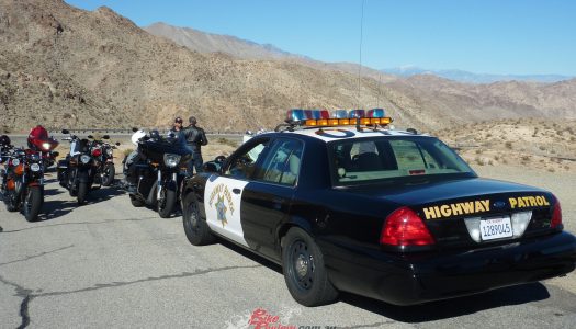 Bear Tracks: Getting An International Drivers Permit