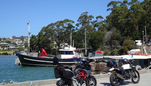 Bear Tracks: The East Coast Of Tasmania