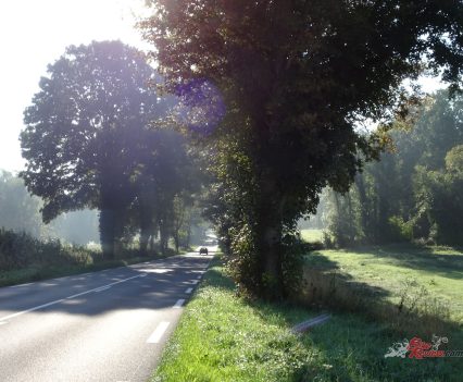 These roadside trees may well have been planted just after the end of the First World War.