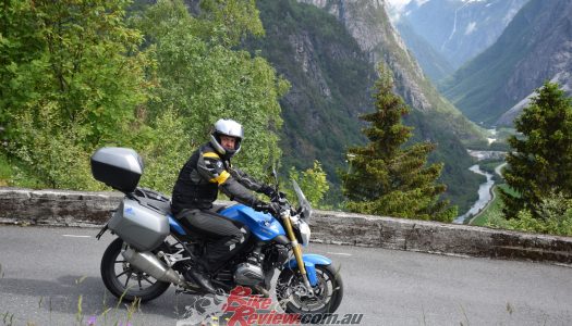 Bear Tracks: Southern Norway