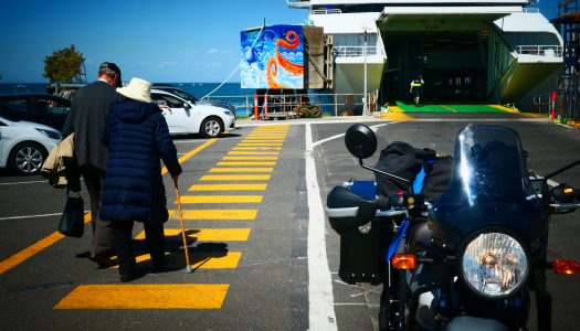 Bear Tracks: Sorrento to Queenscliff Ferries