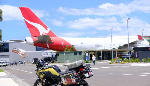 Bear Tracks: The Illawarra, NSW