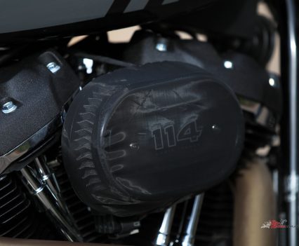 The air filler sits in an annoying spot for tall riders.