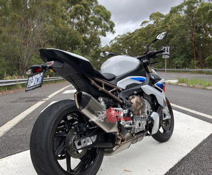 Looking great in traditional colours.