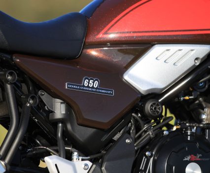 The Candy Diamond Brown explodes in the sunlight!