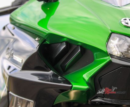 Angry fins in the nose cone.