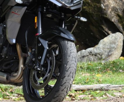 Showa 41mm upside down separate function cartridge forks.