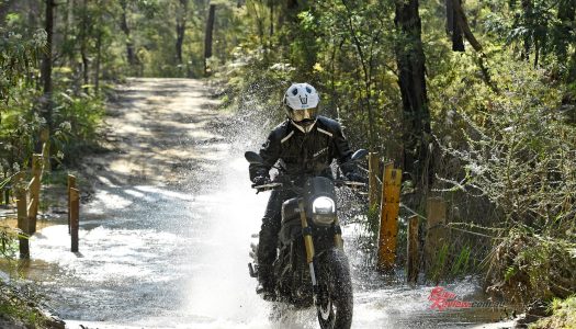 Launch: 2022 Benelli Leoncino 800 & Leoncino 800 Trail