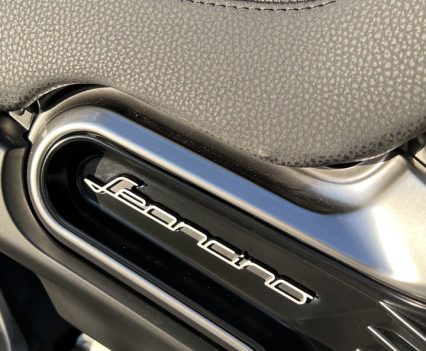 Familiar Leoncino badging.