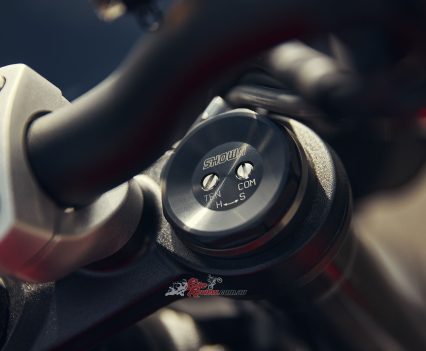 Showa 41mm upside down Big Piston Forks (BPF), adjustable compression and rebound damping, and preload adjustment. 115mm wheel travel.