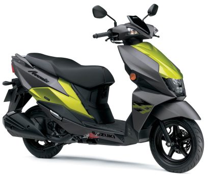 Metallic Matt Fibroin Grey/Metallic Lush Green.