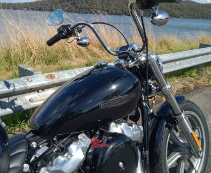 "Blank canvas" of the Harley range.