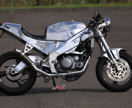 Custom Yamaha SZR660.