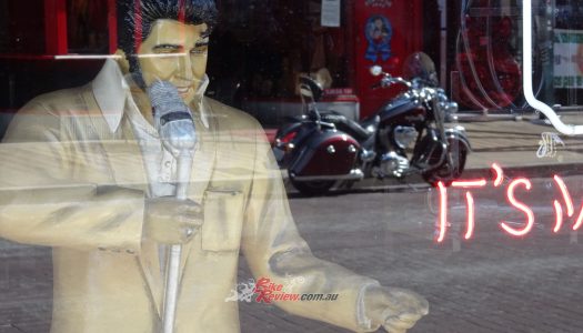 Bear Tracks: Chasing Elvis Across The US!