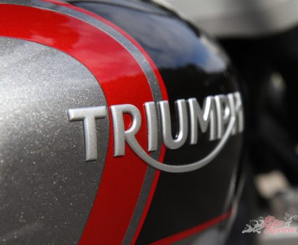Spectacular Triumph paint!