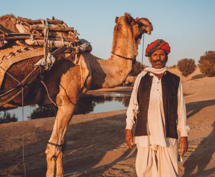 Super Meteor 650 World Launch.