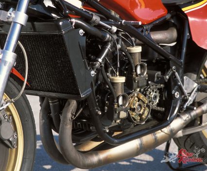 Those carbs look amazing in there...