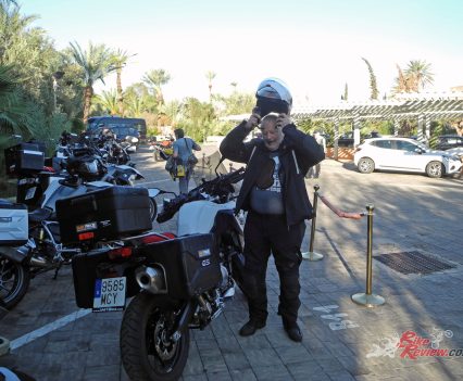 Bear gets ready for the day in Rabat.
