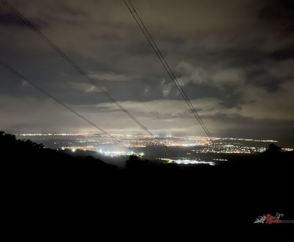 Head out to Windy Gully at night!