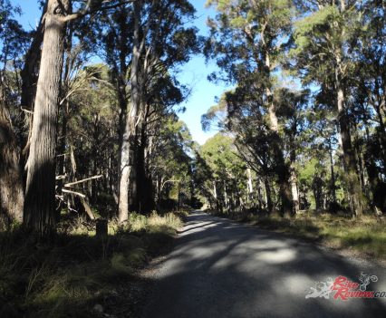 Barrington Tops.