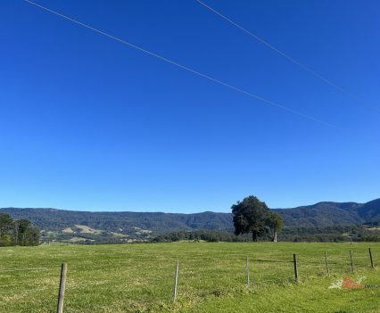 There's usually lots of farm animals around to say hello to.