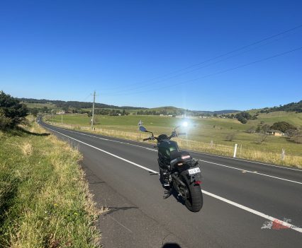 Make sure you stop and say hello to all the cows!