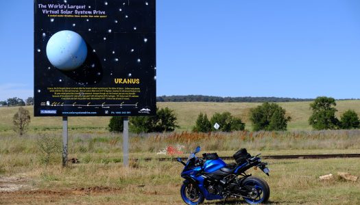 Bear Tracks: Siding Spring Observatory, NSW