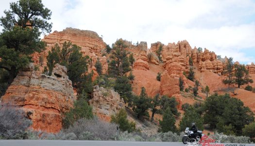 Bear Tracks: USA’s Scenic Byways