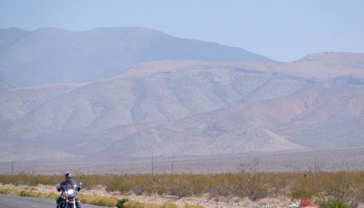 Bear Tracks: Staying Safe Riding In The Summer Heat