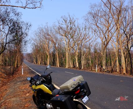 Bushfires go with high temperatures – something else to watch out for.