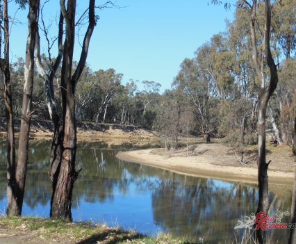 The mighty Murray waiting quietly for you to arrive and splash in.