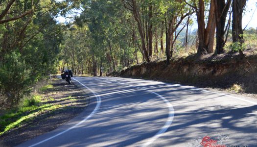 Bear Tracks: Getting Out Of Melbourne